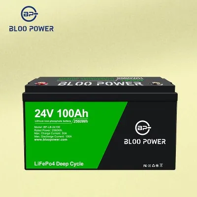 Batterie au lithium-ion 24V 100Ah