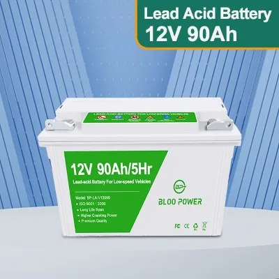 Batterie au plomb-acide pour véhicules à basse-vitesse