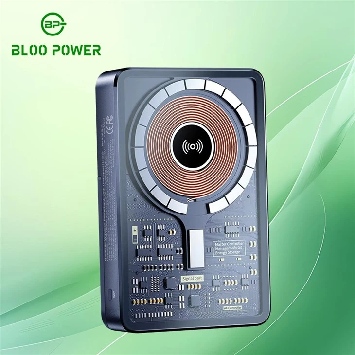 Fast Charging Power Bank
