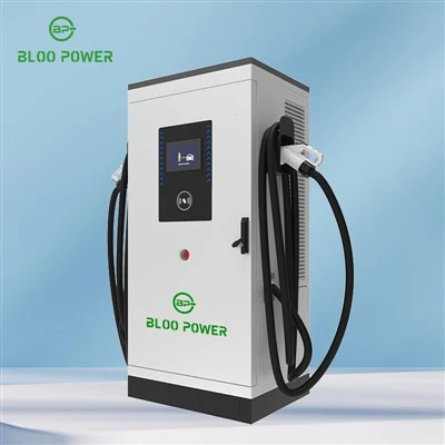Stockage de batterie solaire en plein air orienté vers la charge de Multi - User EV
